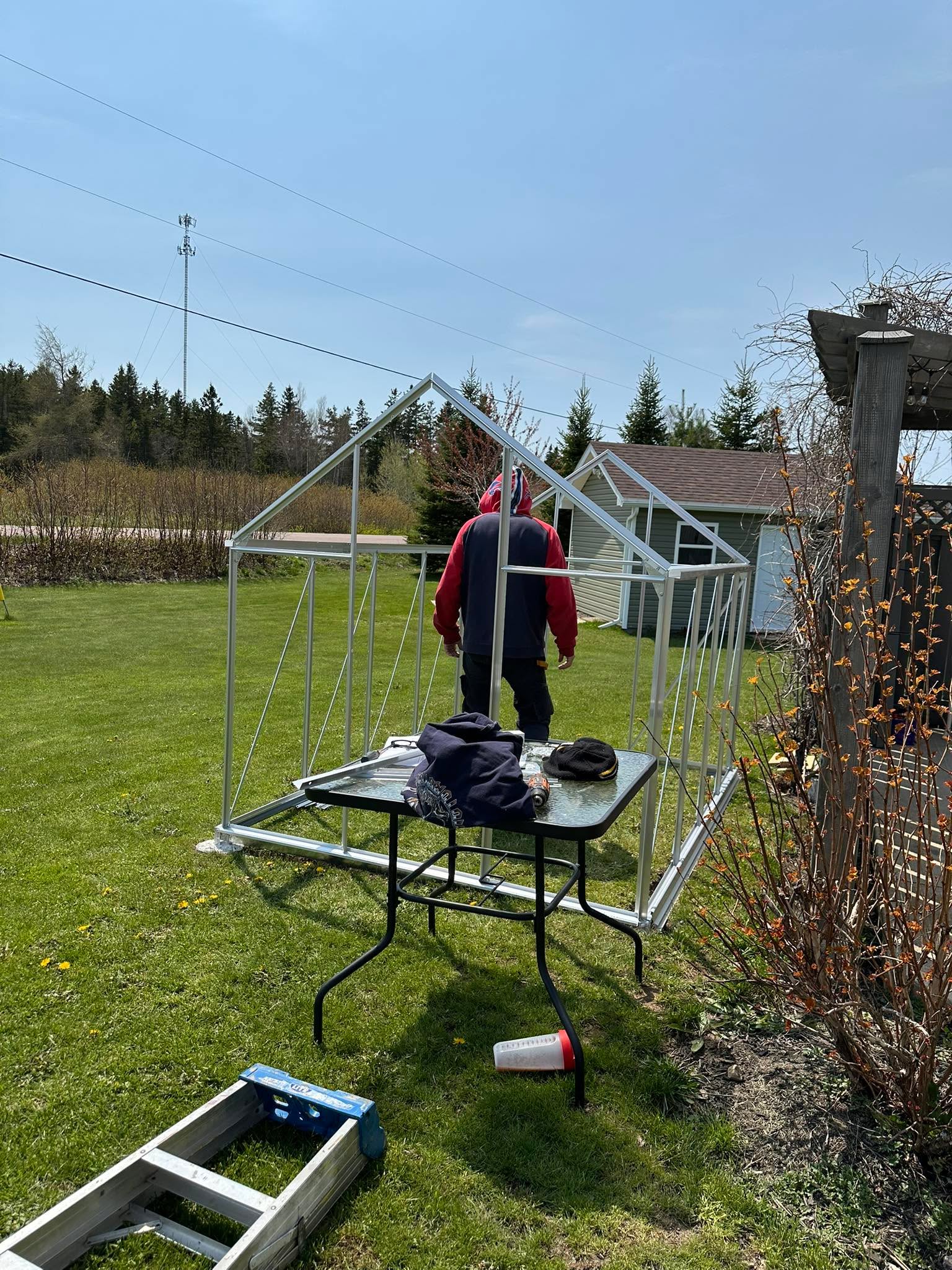 “We” are putting up a greenhouse so that I can try my hand at growing some veggies!  I am so excited to start this journey. The seedlings are growing nicely in the house and transplanting will start soon. 

This is also one of the ways we are working on reducing our grocery bill. Life is expensive, more so now than ever.

I am so thankful for the flexibility of my business to allow me time to try new things like this without feeling the pressure of another task on my list. 

How are you working on cutting your grocery bill?