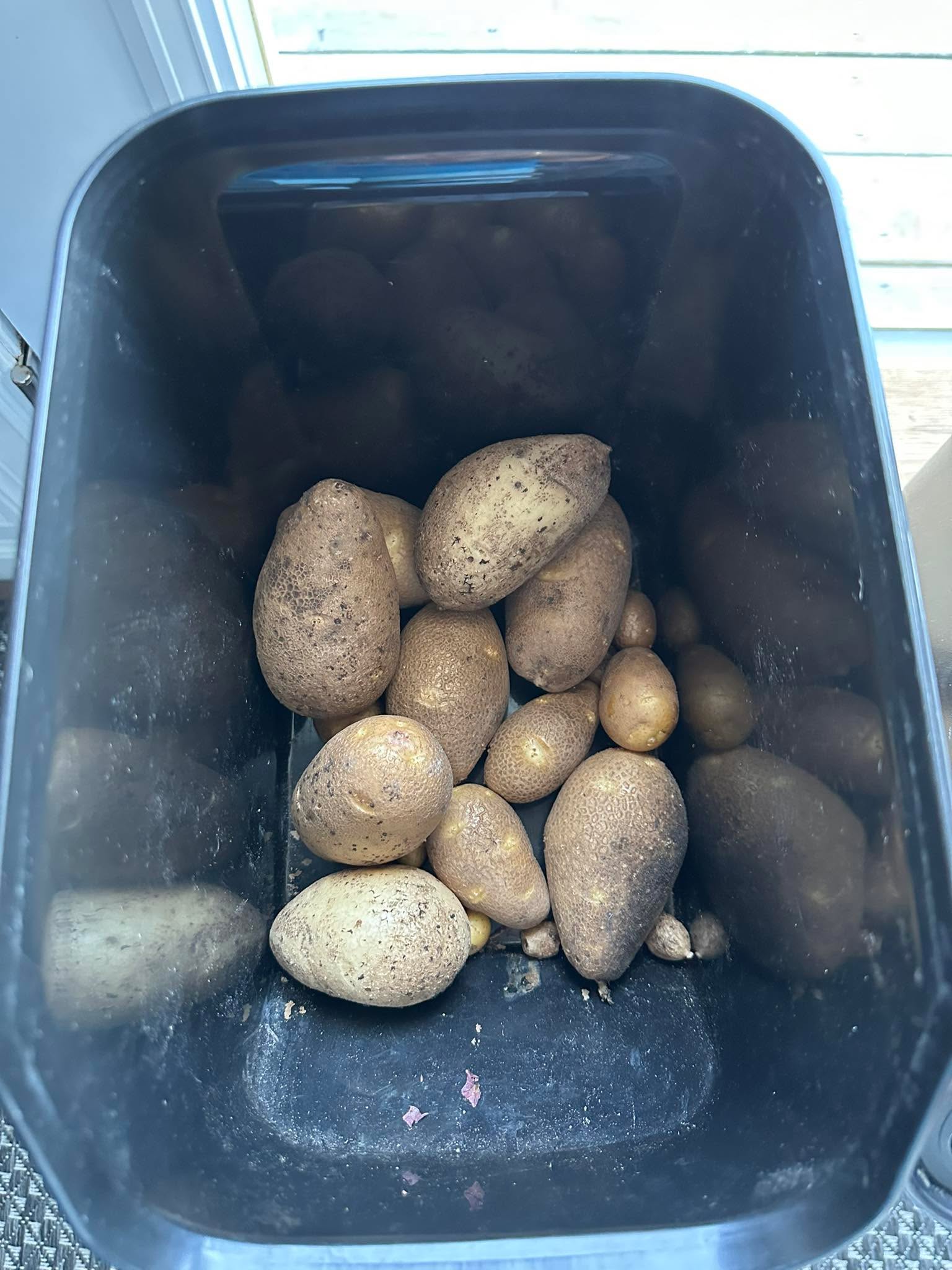 Do You Know What’s On Your Produce?

“Conventional produce” sounds harmless… but it often means crops grown with synthetic pesticides, herbicides, and fungicides to keep bugs, mold, and weeds at bay.

🚜 These chemicals help farmers protect their yield, but many leave residues that can linger even after washing. 

In fact, studies show about 75% of conventional produce carries detectable pesticide traces.

👩‍🌾 Some of the most heavily sprayed?

Strawberries 🍓, spinach 🥬, apples 🍎, and bell peppers 🌶️

🌿 Here’s what you can do:

✨ Wash thoroughly under running water
✨ Peel or scrub when possible
✨ Choose organic for the “Dirty Dozen”
✨ Support local farmers using low-spray or natural pest control methods

Your body works hard every day, fueling it with clean, real food helps it thrive 💚. 

If you have hormonal or metabolic challenges conventionl produce can make these more challenging. I can help with these challenges 

Drop a 🥬 below to connect. 

This is my small potato harvest after growing them for the first time.