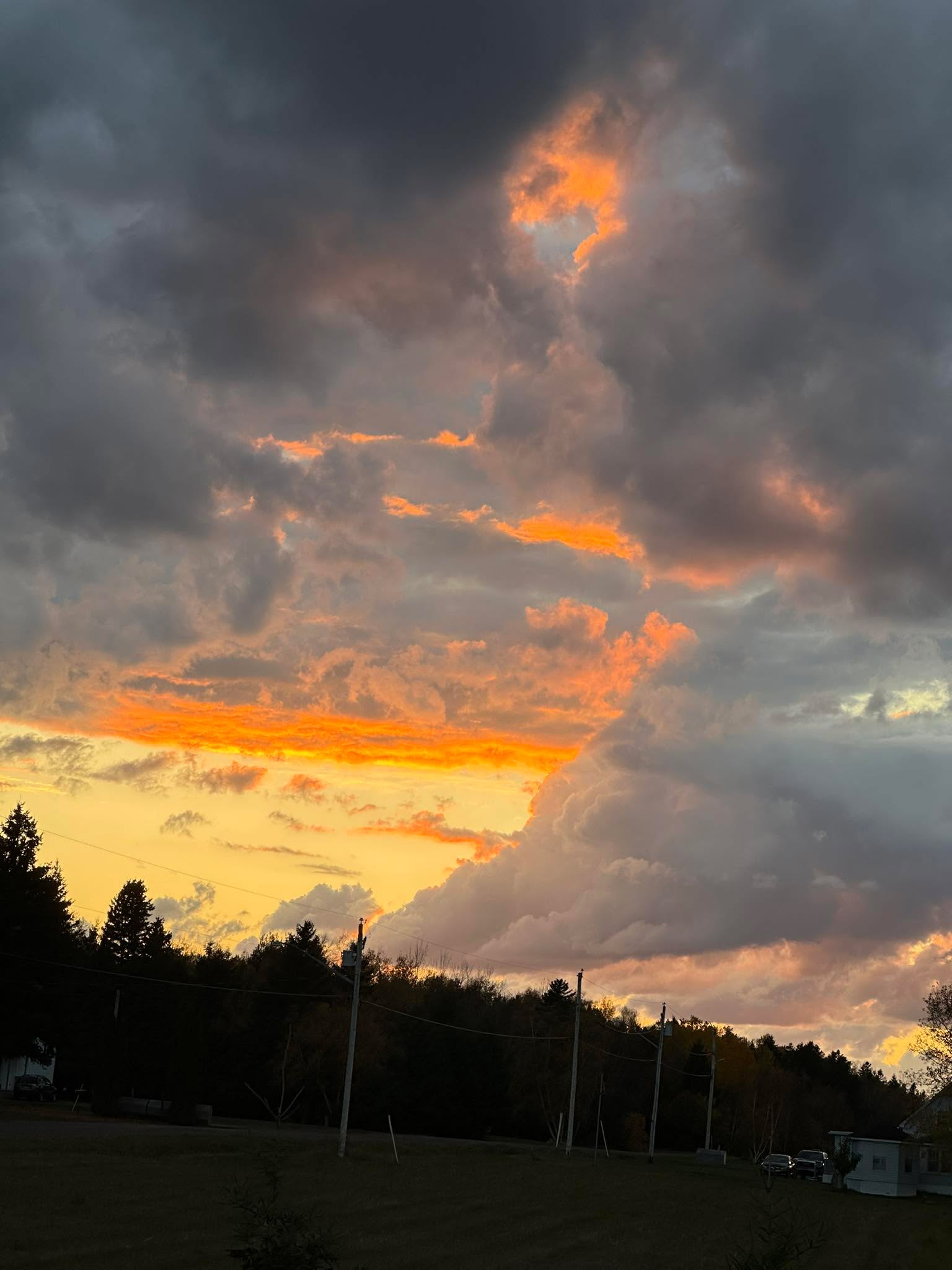 Do you love community?

I spent the afternoon with other holistic practioners and supporters and the energy was alive with positivity and joy. 

It is truly amazing what a like minded community can do for our souls and our wellbeing. 

Do you have a great community? Shout them out in the comments.