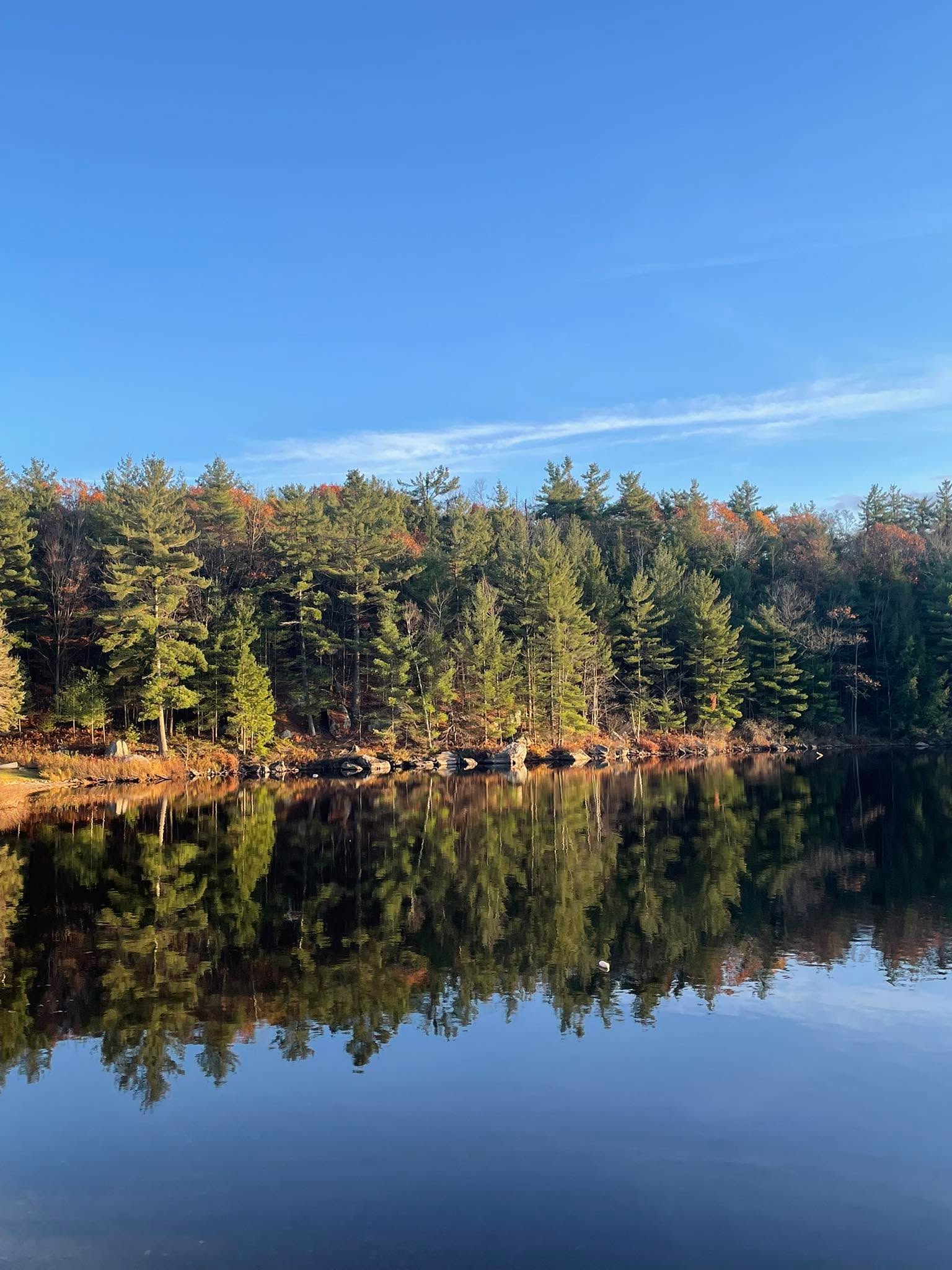 How do you use Facebook?

I’ve been thinking about this a lot lately as It relates to me.

I love sharing info that helps people enjoy their lives more through delicious food, yummy recipes, info to make life happier and easier and overall nutrition insights. 

I sprinkle my life in here too, sharing what makes me happy so my friends and followers have a sense of who I am and what I love. 

This is how I chose to offer my services because I believe you will either resonate with me or you won’t. We are all unique and how we “tick” and relate to others is different and I know I’ll not be a fit for everyone. 

If I am a fit for you I’d love to chat. Life is truly enhanced by the food we eat!