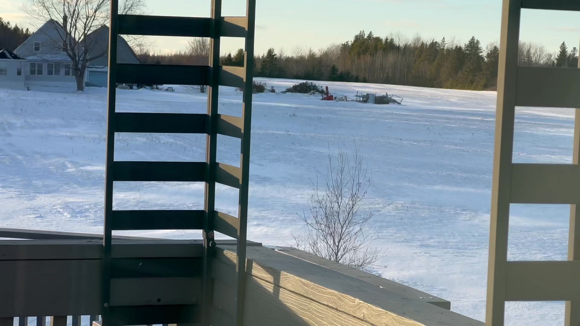 I love watching the wind blow the snow across the back field. Of course I am happy I don’t need to go anywhere too! We have a lot of wind year round living by the ocean! It looks so cool to me! #snowydays #lovinglife