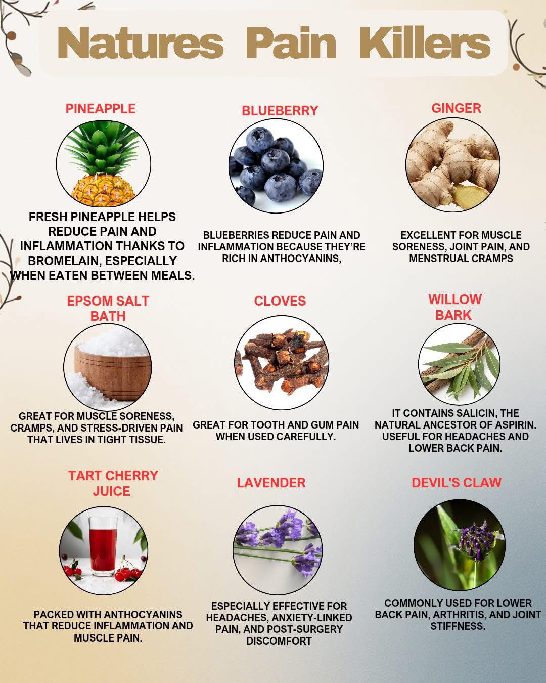 Pain doesn’t always need a prescription—sometimes it needs plants, minerals, and a little biological wisdom. From pineapple’s enzymes to blueberries’ antioxidants, these natural options help calm inflammation, ease soreness, and support recovery the way the body understands best.

I truly love all that nature offers us!